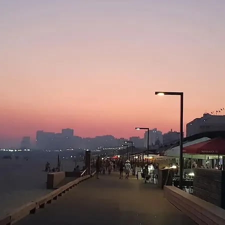 Charming Monte On Floor. *